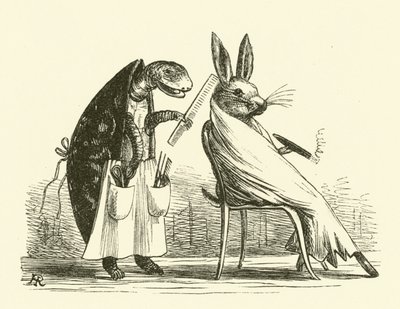 La tartaruga e la lepre da Hugh Rowley