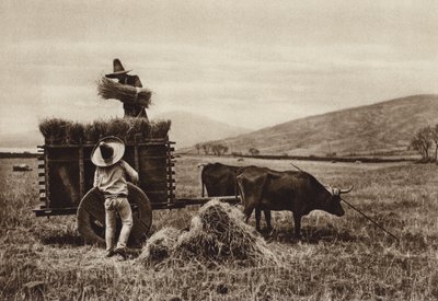 Messico: contadini che raccolgono il grano (foto b/n) da Hugo Brehme