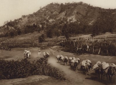Messico: nodo di trasporto nell