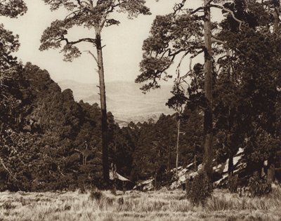 Messico: panorama selvaggio ai piedi del Pico de Orizaba (foto b/n) da Hugo Brehme