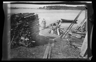 Legname sulla spiaggia, probabilmente da Helsinki da Hugo Simberg