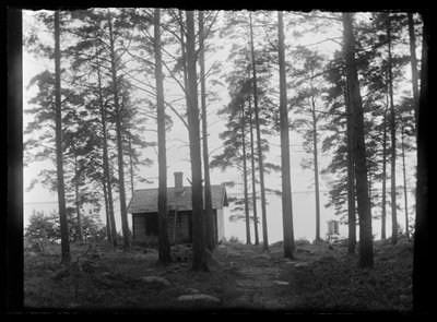 Sauna a Selkäranta da Hugo Simberg