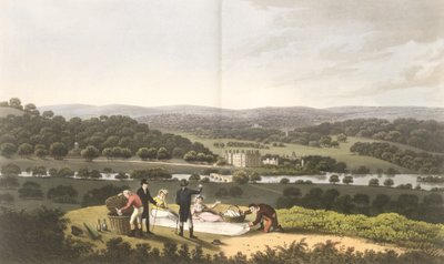 Veduta generale di Longleat dalla collina del prospetto, da 