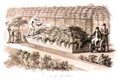 Lusso dei giardini, da 