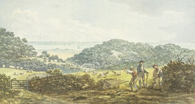 Vista panoramica 