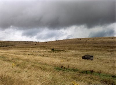 Tumulo su Salisbury Plain, Wiltshire, 1999 da IJ Leonard