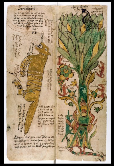 Il lupo Fenrir e l