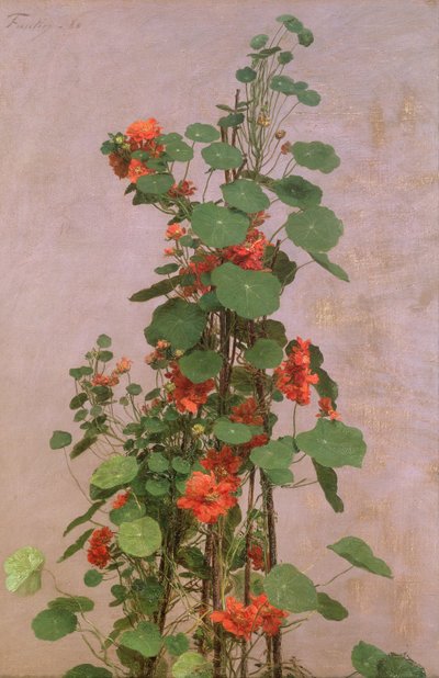 Nasturzi, 1880 da Ignace Henri Jean Fantin Latour