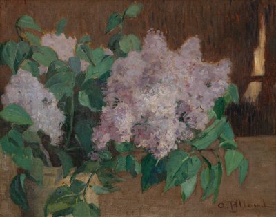 Lilla da Ignace Nazaire Oswald Pilloud