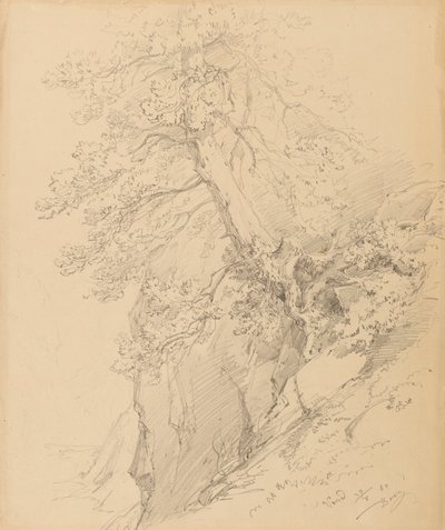 Studio di albero da Ignaz Dorn