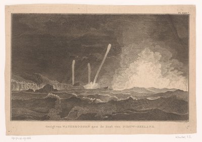 Vista di trombe marine sulla costa della Nuova Zelanda da Ignaz Sebastian Klauber