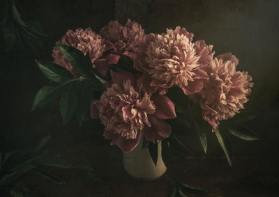 Eleganti peonie rosa da Igor Tokarev