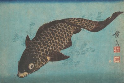Koi da Ikeda Eisen