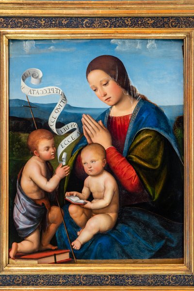 La Vergine Maria con Gesù Bambino e San Giovanni Battista da Il Francia