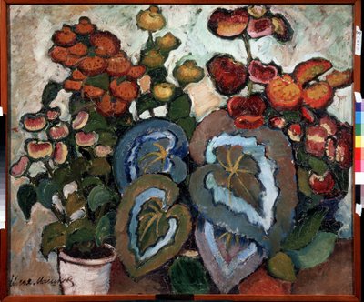 Begonie da Ilya Ivanovich Mashkov