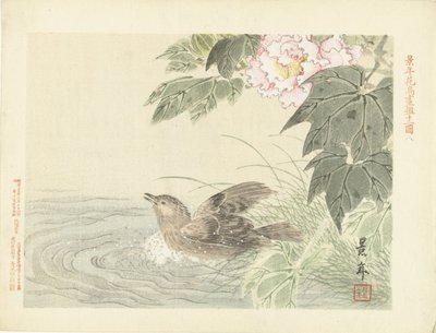 Uccello che fa il bagno vicino a un fiore rosa (Schizzi di fiori e uccelli di Keinen) (Keinen kacho gafu) da Imao Keinen