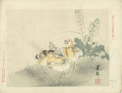 Tre pulcini (Bozzetti di fiori e uccelli di Keinen) da Imao Keinen