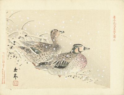 Coppia di anatre nella neve (serie: Schizzi di fiori e uccelli di Keinen) da Imao Keinen