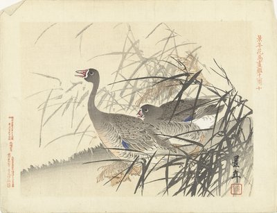 Due oche tra le canne (Bloemen- en vogelschetsen van Keinen) da Imao Keinen