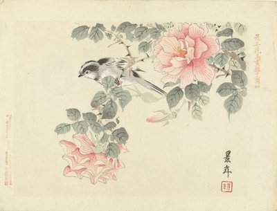 Uccellino bianco e nero tra rose rosa (Schizzi di fiori e uccelli di Keinen) da Imao Keinen