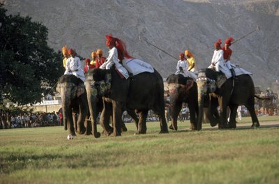Uomini che giocano a polo con gli elefanti (foto) da Indian Photographer