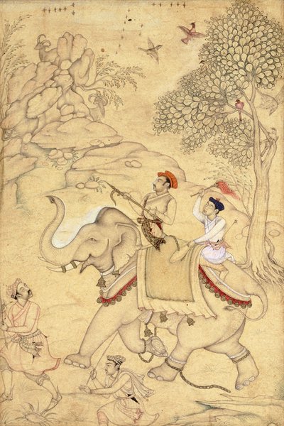 Un principe a caccia, a cavallo di un elefante, c.1600-1650 da Indian School