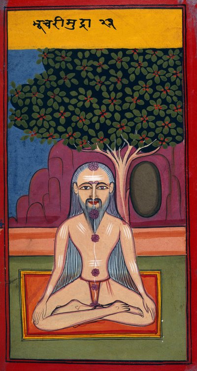 Uno yogi in postura Bhucari, da Asandas e Mudras (Hata yoga) da Indian School