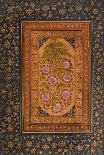 Pagina di album con Stokesia e ritratto di Abdul Rahim Khan-e Khanna da Indian School