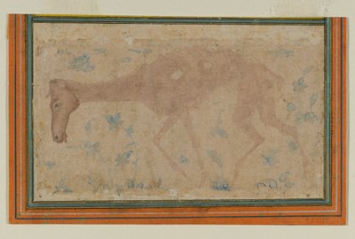 Un cavallo emaciato, da Mughal o Deccan, metà XVII secolo da Indian School