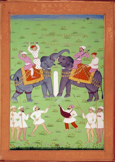 Battaglia di due elefanti alla corte di Shah Alem da Indian School