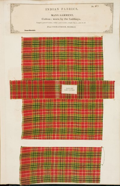 Campione di cotone da Coonathoor in Madras, da The Collection of the Textile Manufacturers of India, di John Forbes Watson, pubblicato nel 1866 da Indian School