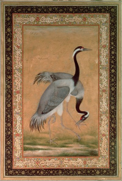 Gru di Mansur, periodo Jahangir, Mughal da Indian School