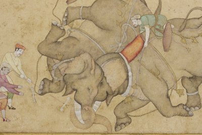 (dettaglio) da un combattimento di elefanti, con arabesco floreale di bordo da Indian School