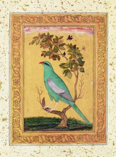 Uccello Verde, Mughal da Indian School