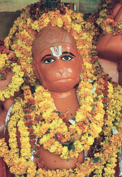 Hanuman, il Dio Scimmia da Indian School