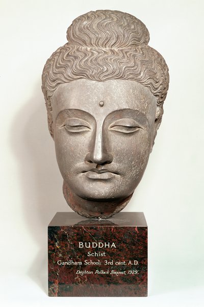 Testa da una statua del Buddha, da Gandhara, nord-ovest dell