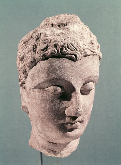 Testa di Buddha, Gandhara, 2°-4° secolo da Indian School