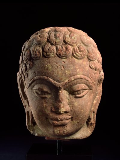 Testa di un Tirthankara Jain, Regione di Mathura, periodo Kushan, III-IV secolo d.C. da Indian School