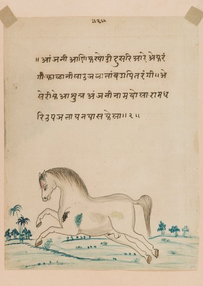 Cavallo da Indian School