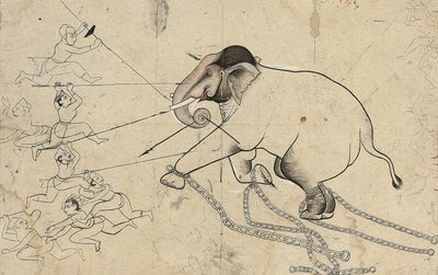 Isarda o kotah disegno preparatorio dell
