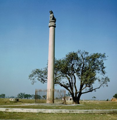 Colonna del leone dell