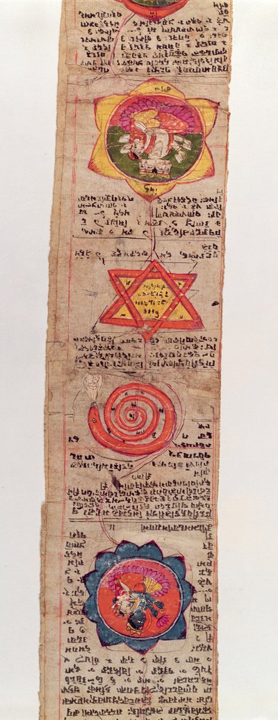 Ms Sanskrit 1804 Manoscritto medico sanscrito da Indian School