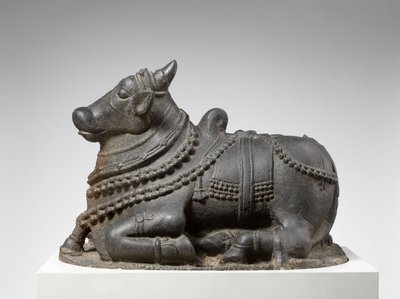 Nandi da Indian School