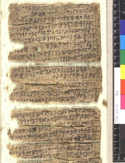 Frammenti di manoscritto su corteccia di betulla in Kharoṣṭhī da Indian School