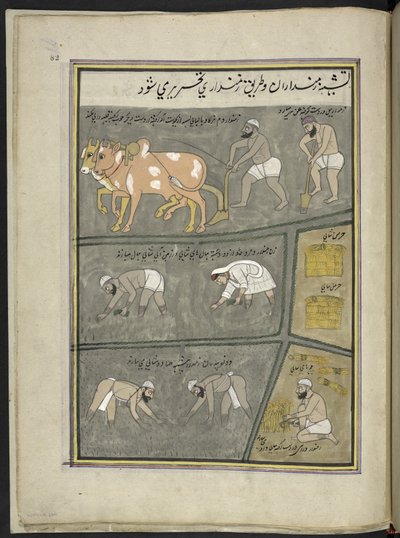 Aratura; scavo; trapianto del riso; raccolta, 86 disegni rilegati in un volume che raffigura mestieri e occupazioni in Kashmir, artigiani al lavoro con i loro strumenti e attrezzature, da un artista del Kashmir, probabilmente a Srinagar, c.1850-60 da Indian School