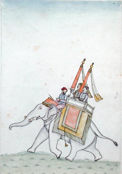 Ritratto di un principe che cavalca un elefante da Indian School