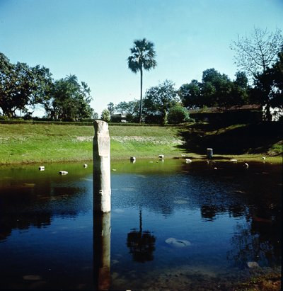 Rovine del Palazzo di Pataliputra da Indian School