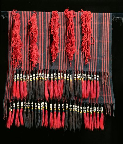 Tessuto (cotone) da Indian School