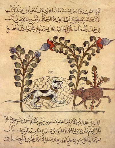 Il gatto e il topo, miniatura araba da "Kalila va dimna" da Indian School