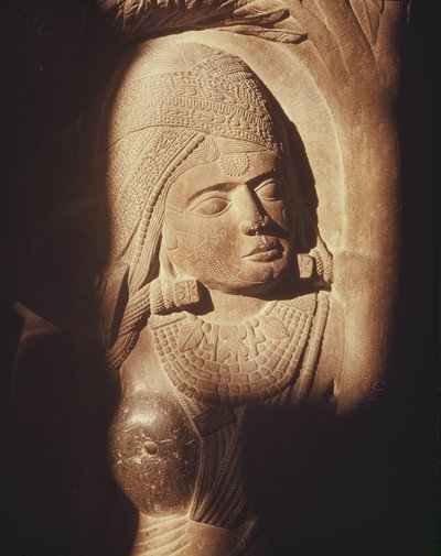 La testa di una yakshini, dal cancello di uno stupa buddista a Bharhut, Madhya Pradesh, Tardo Periodo Maurya, Dinastia Sunga (180-72 a.C.) da Indian School